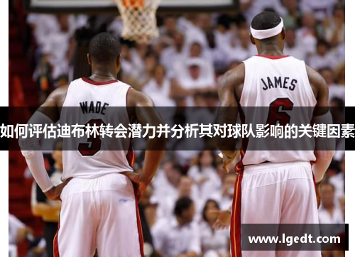 如何评估迪布林转会潜力并分析其对球队影响的关键因素