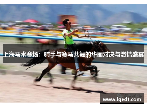 上海马术赛场：骑手与赛马共舞的华丽对决与激情盛宴