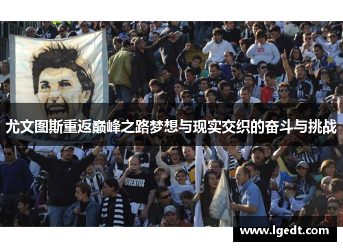 尤文图斯重返巅峰之路梦想与现实交织的奋斗与挑战